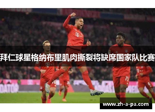 拜仁球星格纳布里肌肉撕裂将缺席国家队比赛 拜仁球星格纳布里肌肉撕裂将缺席国家队比赛